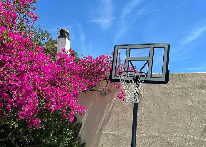 Fissi Villas Agritourism Accommodation Near The Sea