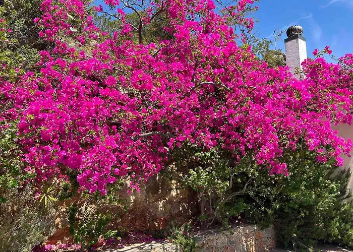 Fissi Villas Agritourism Accommodation Near The Sea