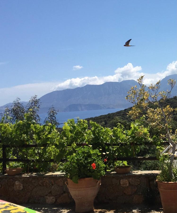 Ferienhaus Fissi Agritourism Near The Sea Agios Nikolaos