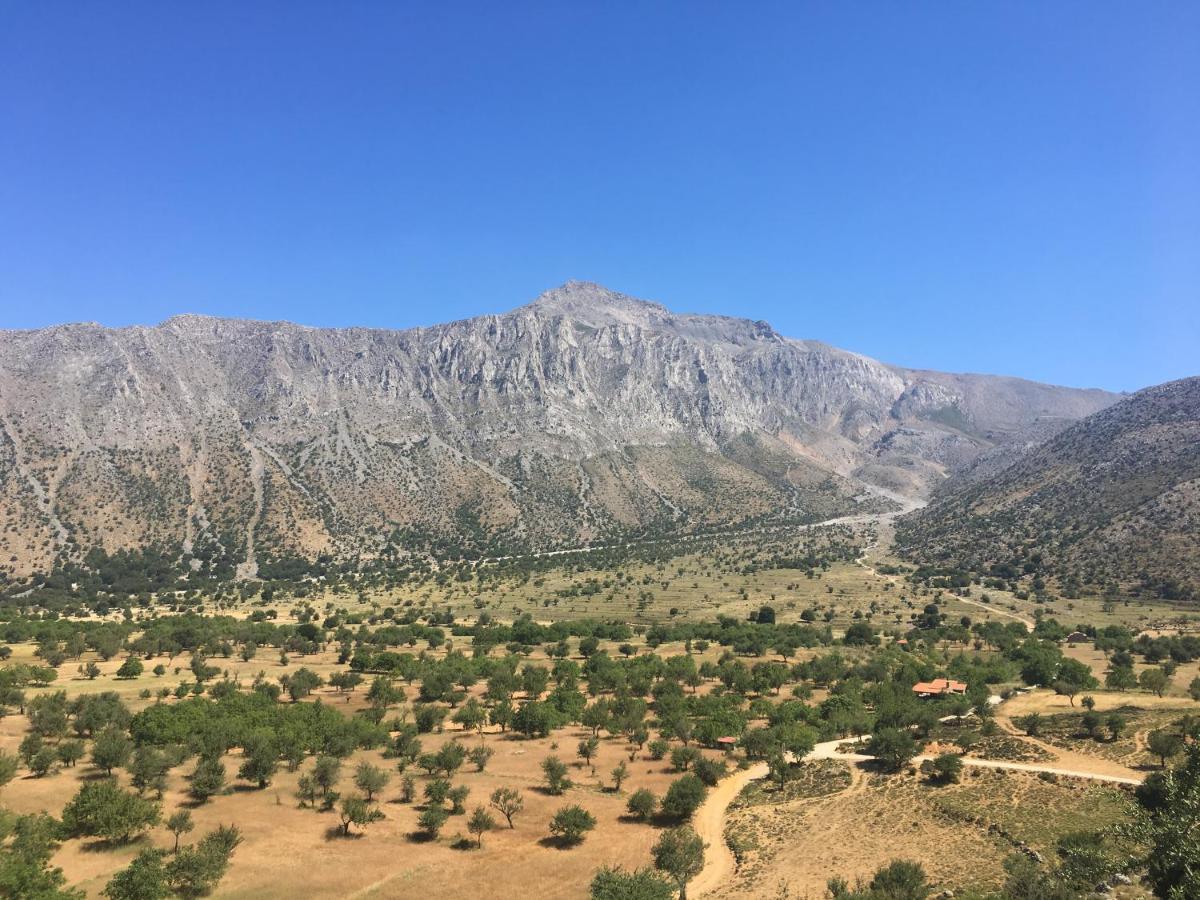 Fissi Agritourism Near The Sea Agios Nikolaos
