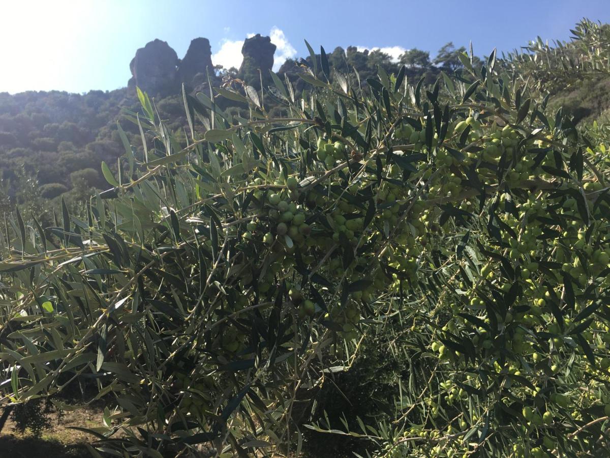 Fissi Agritourism Near The Sea