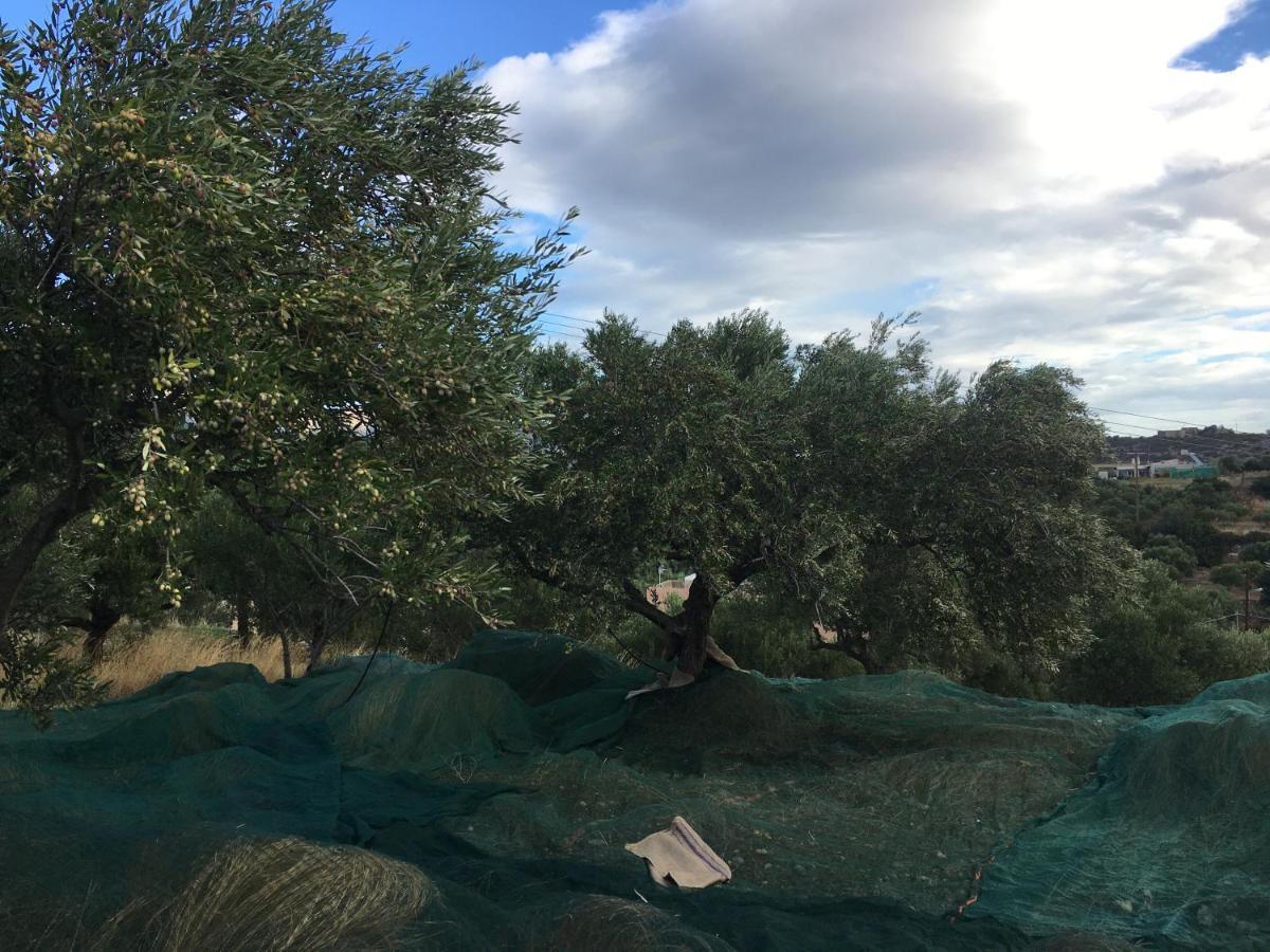 Fissi Agritourism Near The Sea
