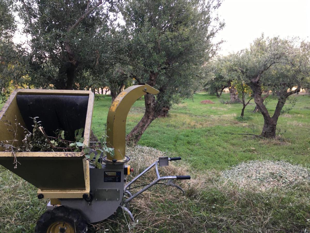Holiday home Fissi Agritourism Near The Sea