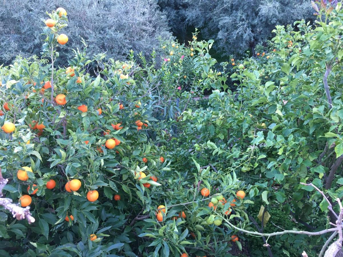 Fissi Agritourism Near The Sea Holiday home *