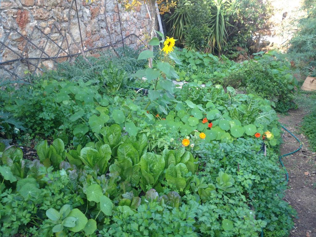 Fissi Agritourism Near The Sea * Agios Nikolaos (Crete)