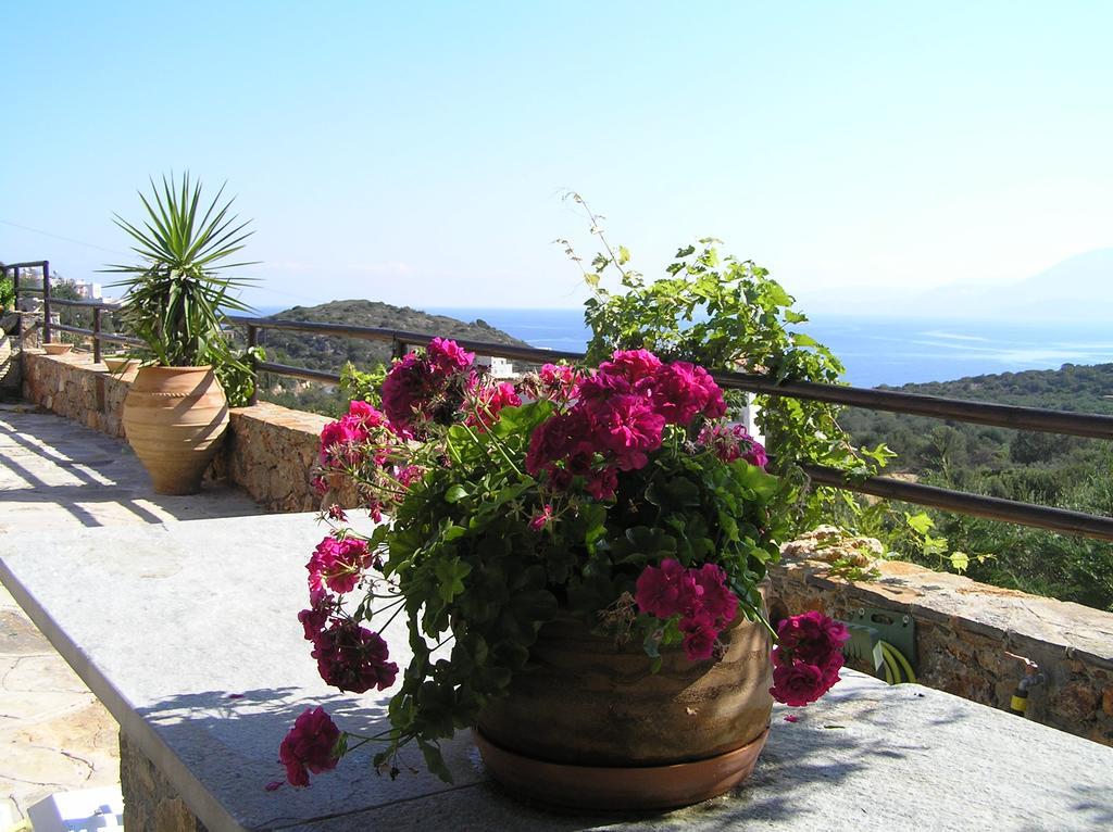 Fissi Agritourism Near The Sea Holiday home Agios Nikolaos (Crete)
